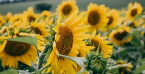 Maremma Natural Parks